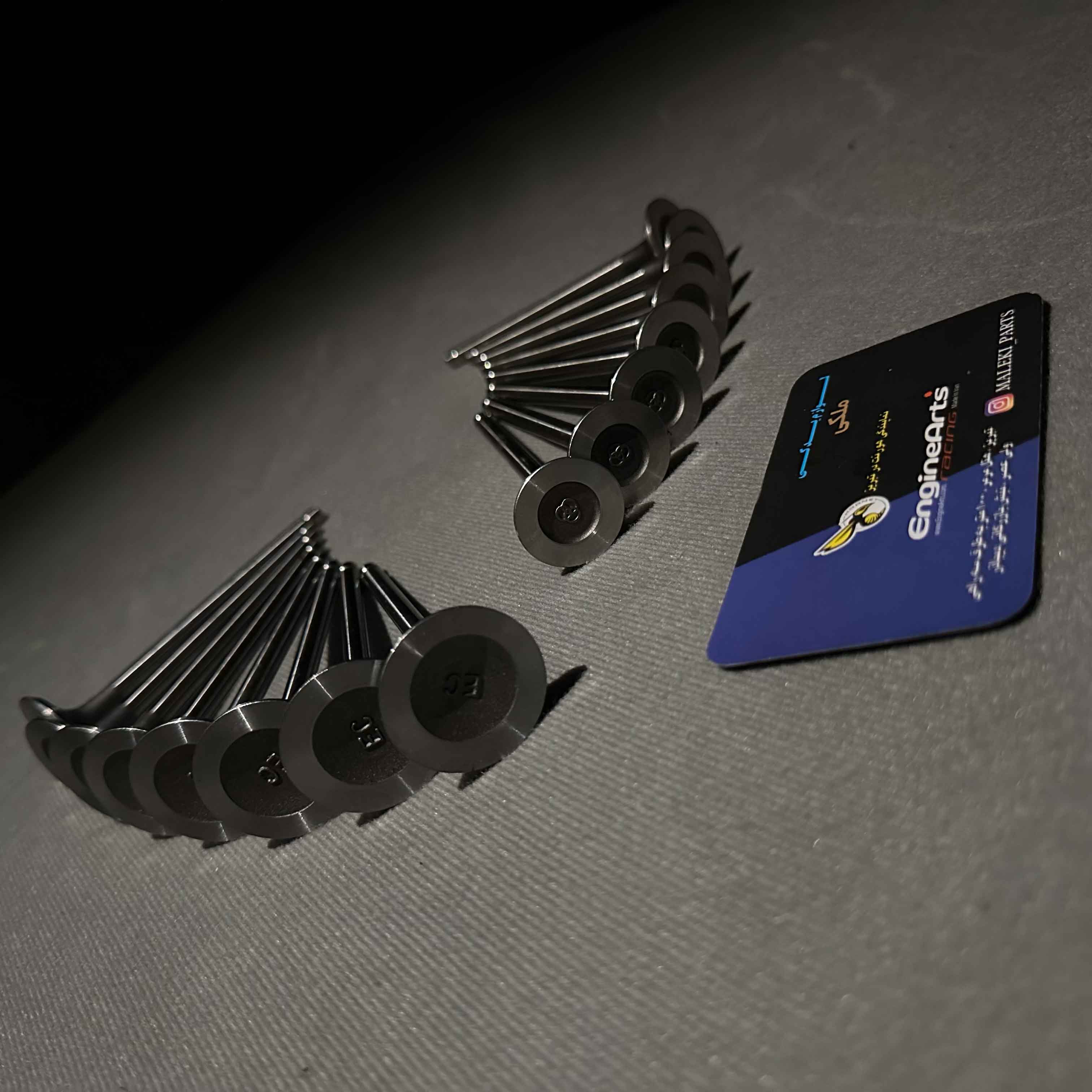 مجموعه سوپاپ شرکتی TU5 پژو 206، 207، 405، پارس و رانا